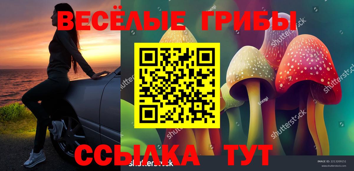закладка  Псилоцибиновые грибы ЛСД  Вход с VPN  Холмск 