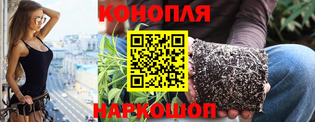 Холмск  Бошки Шишки OG Kush  Канабис MAZAR  Вход с VPN 